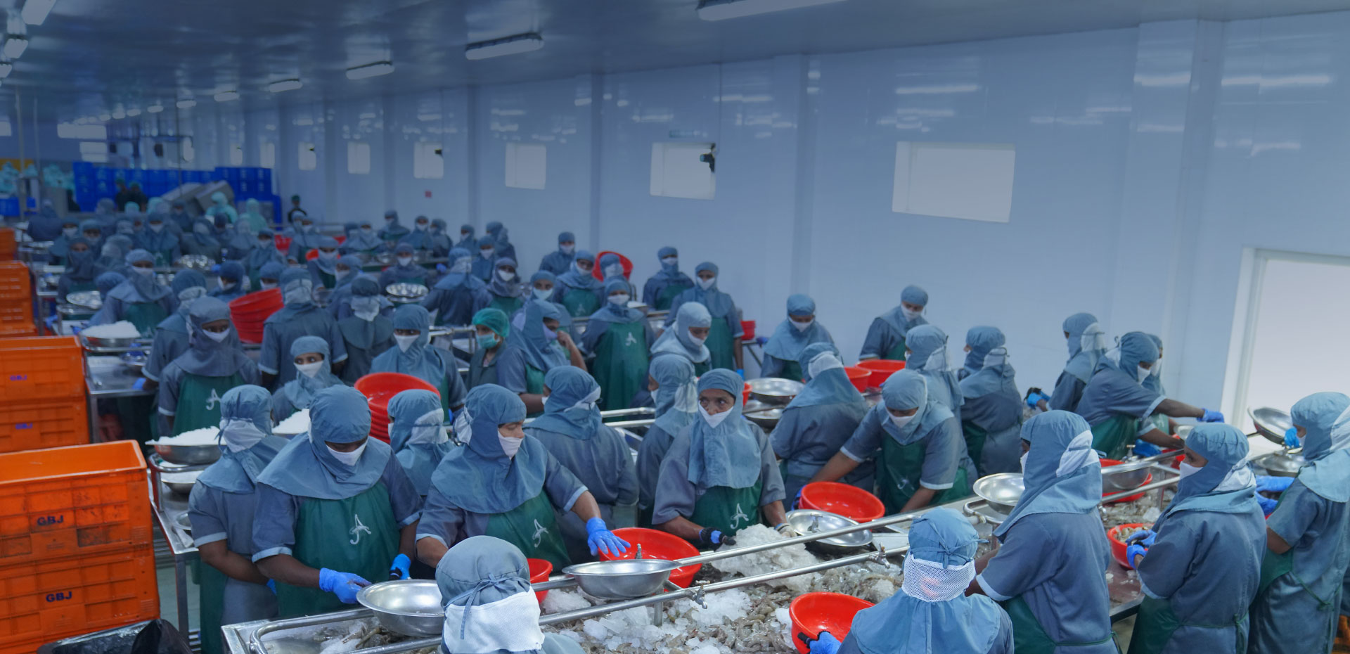 The company's sophisticated plant at Pamarru, Andhra Pradesh, India.